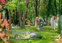 Sepoltura o cremazione? Vi racconto la storia di mio nonno Sepoltura o cremazione Vi racconto la storia di mio nonno